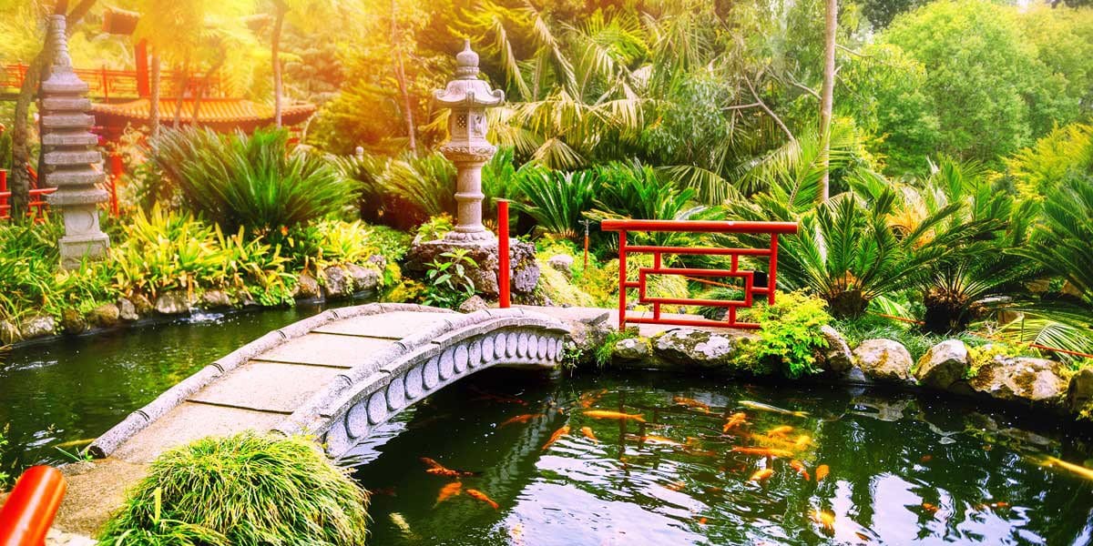 Koi Fish: Symbolism and Spiritual Significance - Buddha Groove