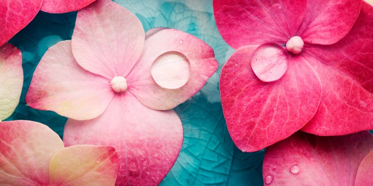 Lao Tzu Quotes - Buddha Groove