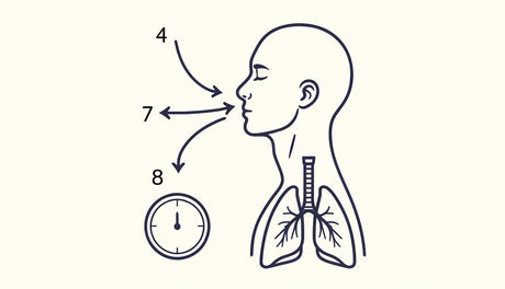 Mastering Calm: A Guide to the 4-7-8 Breathing Technique - Buddha Groove