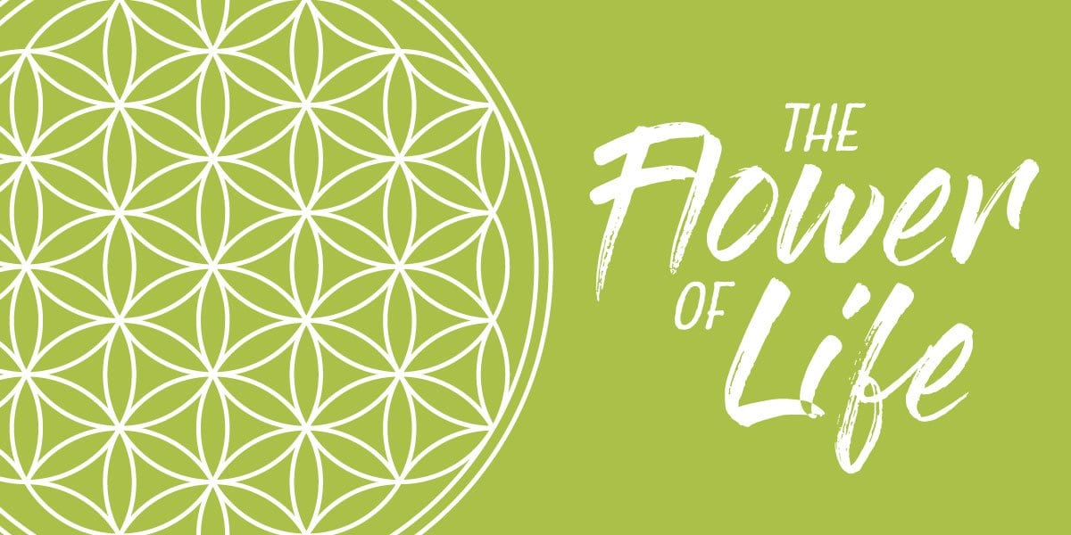 Meaning and Significance of the Flower of Life in Sacred Geometry - Buddha Groove