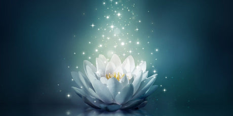 Meditation FAQs - Buddha Groove