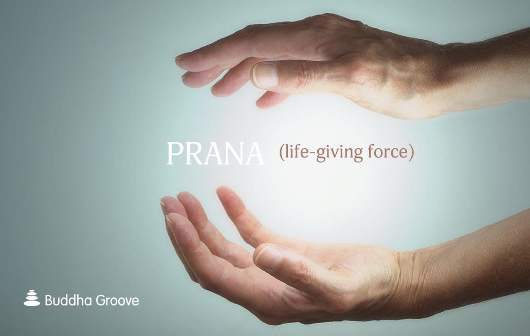 Pranas and Upapranas - Buddha Groove