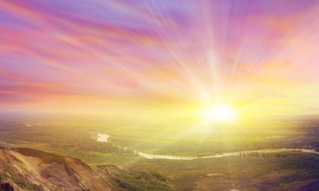 Real Life Faith - Buddha Groove