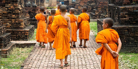 The Buddhist Tour - Buddha Groove