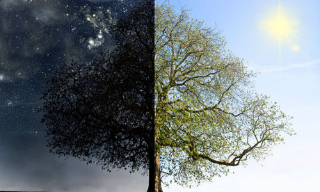 What Does It Mean To Be Ready To Change? - Buddha Groove