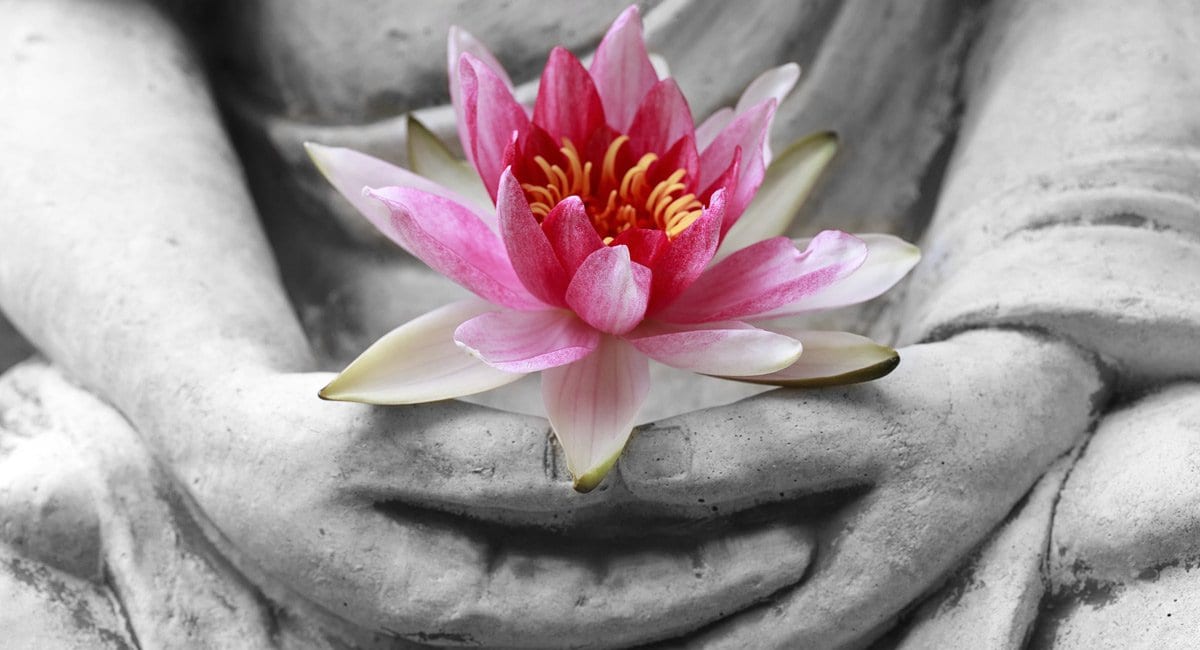 What is the Role and Concept of Meditation in Buddhism? - Buddha Groove