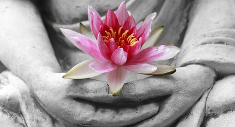 What is the Role and Concept of Meditation in Buddhism? - Buddha Groove