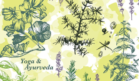 Yoga and Ayurveda for Holistic Health - Buddha Groove