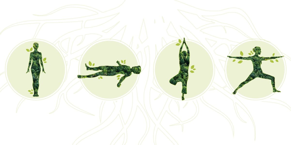 Yoga Poses to Ground You - Buddha Groove