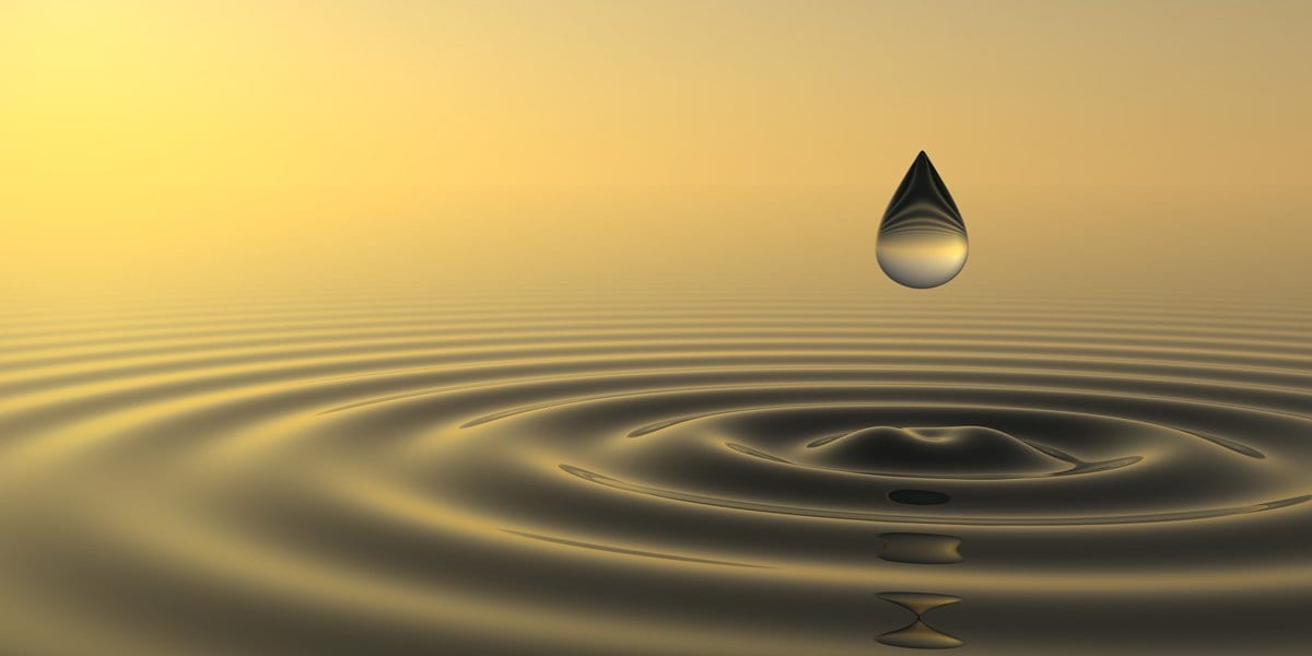 Zen Story: Anger Management - Buddha Groove