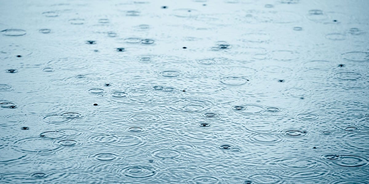 Zen Story: Carry On - Buddha Groove