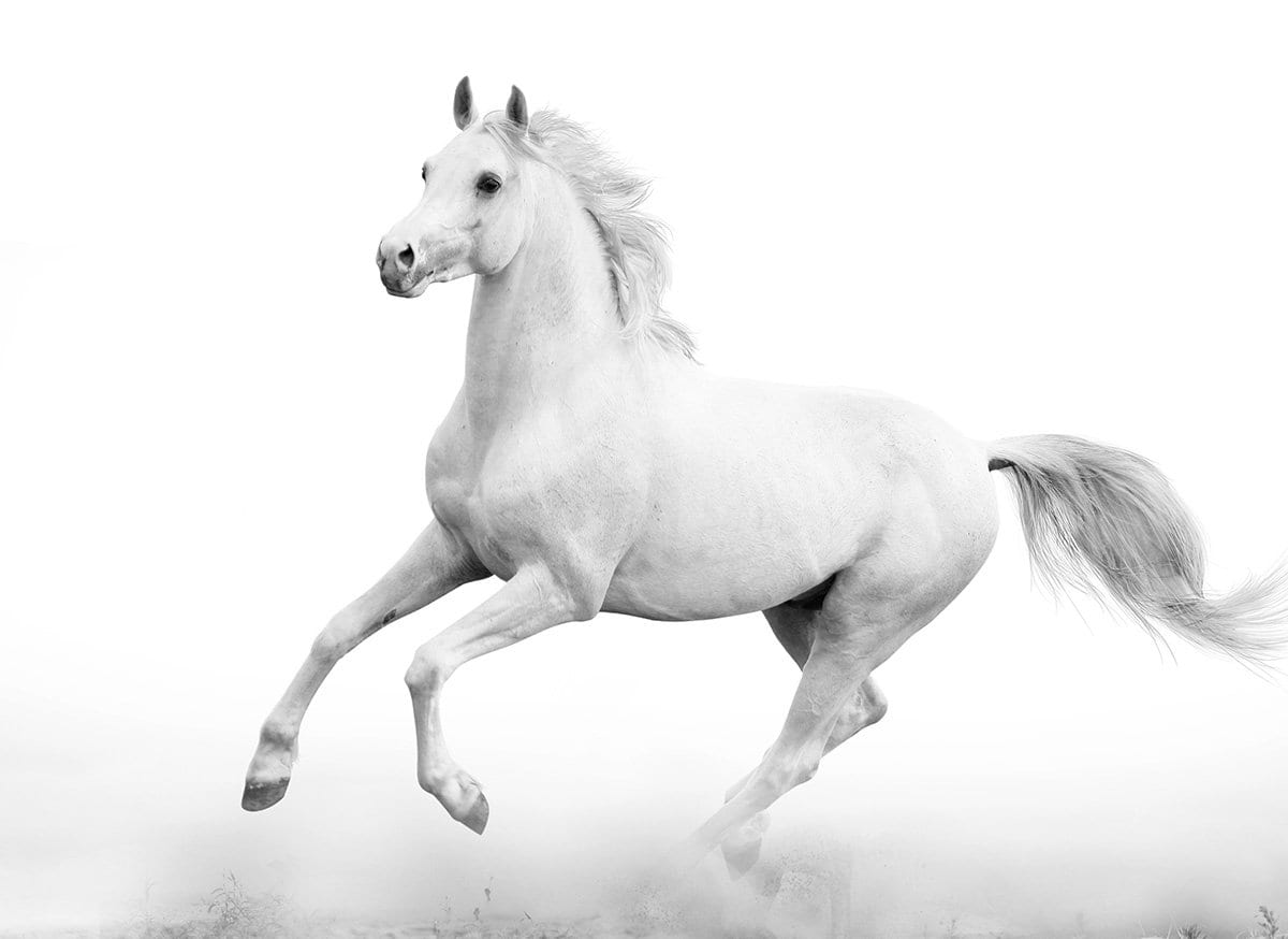 Zen Story: Cause and Effect - Buddha Groove