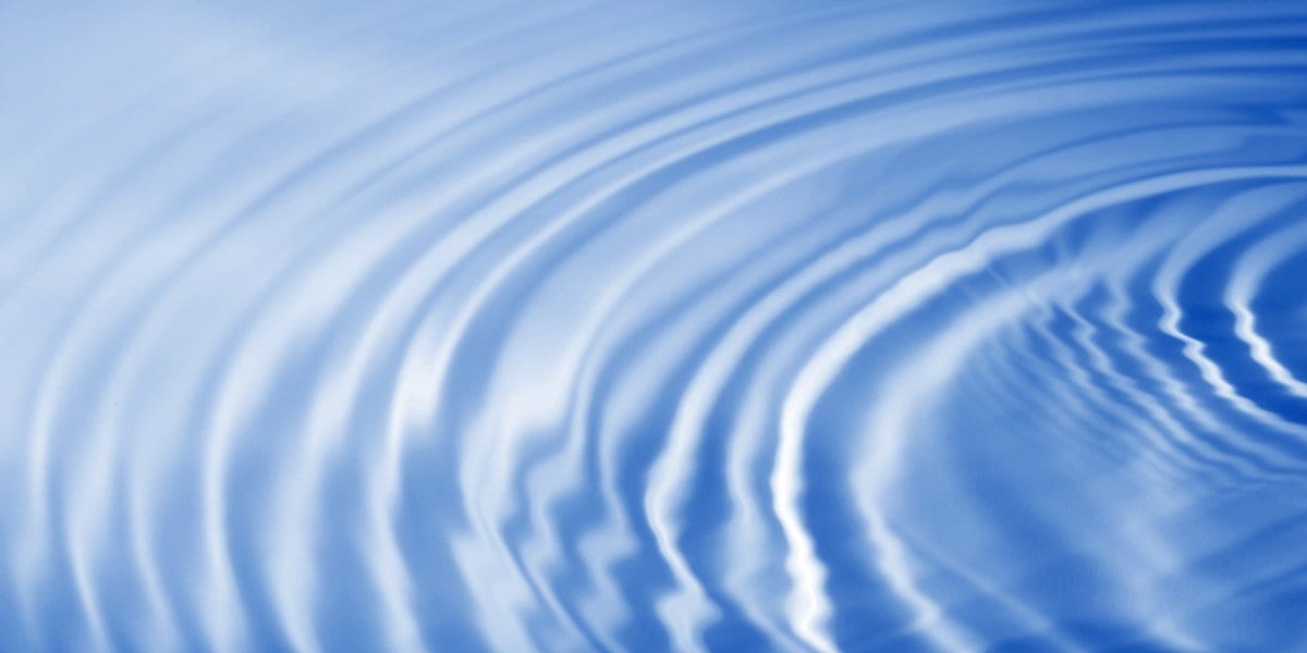 Zen Story: Existence - Buddha Groove