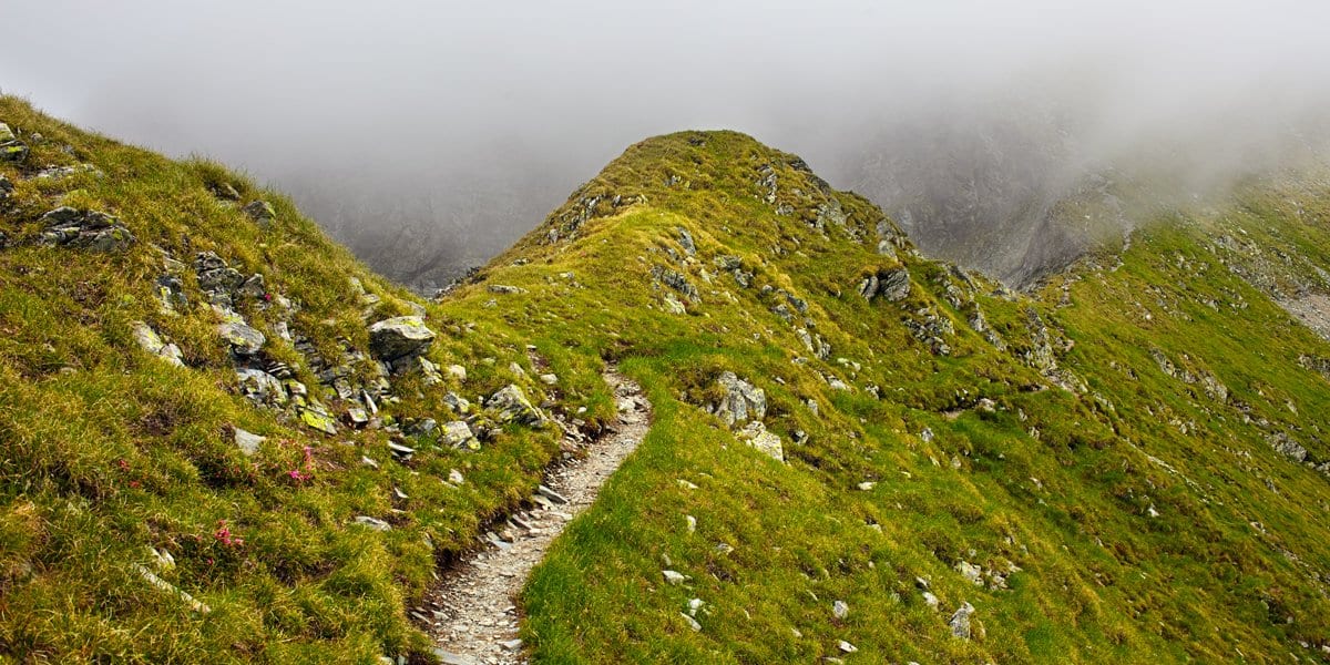 Zen Story: Focus - Buddha Groove