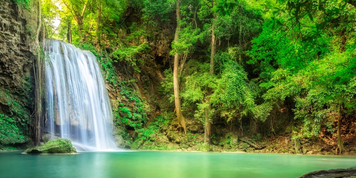 Zen Story: Harmony - Buddha Groove