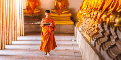 Zen Story: Hidden Meanings - Buddha Groove