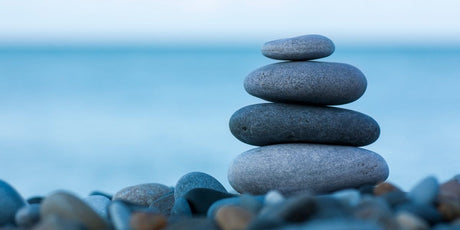 Zen Story: Learning the Zen Way - Buddha Groove