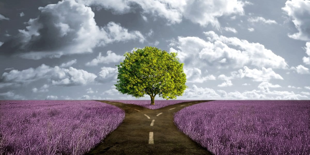 Zen Story: Multitasking - Buddha Groove