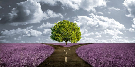 Zen Story: Multitasking - Buddha Groove