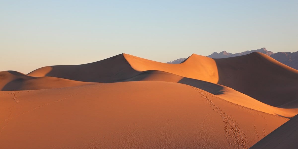 Zen Story: Paradise - Buddha Groove