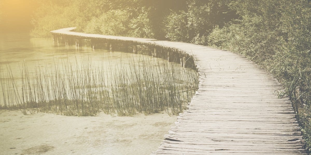 Zen Story: Perceptions - Buddha Groove