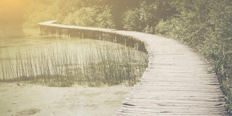 Zen Story: Perceptions - Buddha Groove