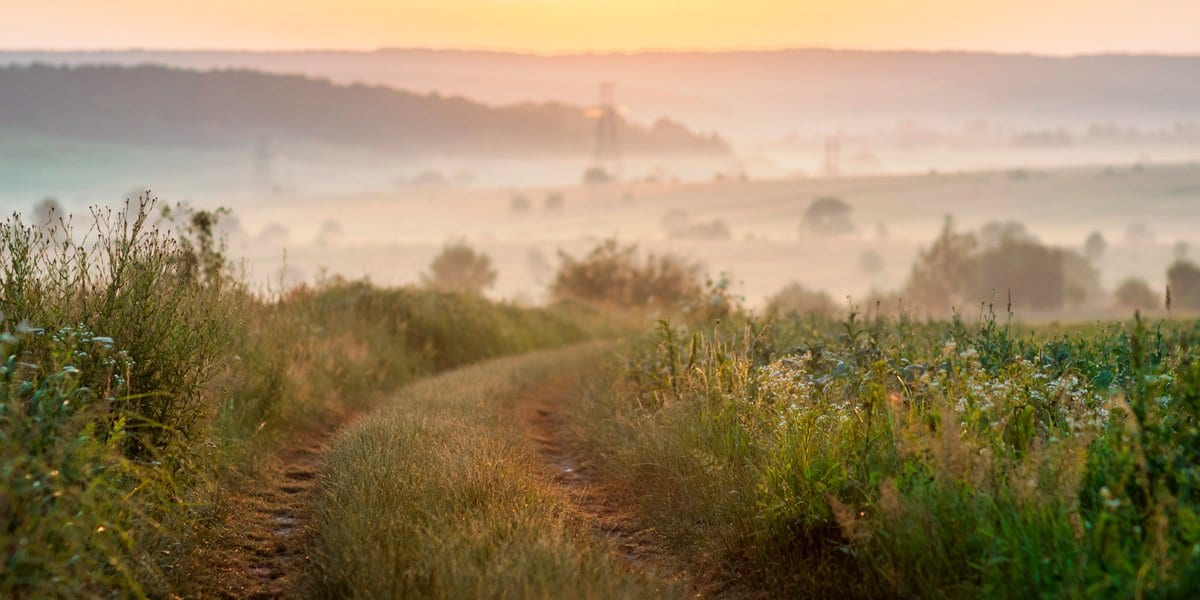 Zen Story: The Holy Man - Buddha Groove