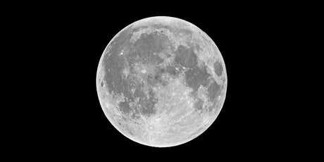 Zen Story: The Warrior’s Question - Buddha Groove