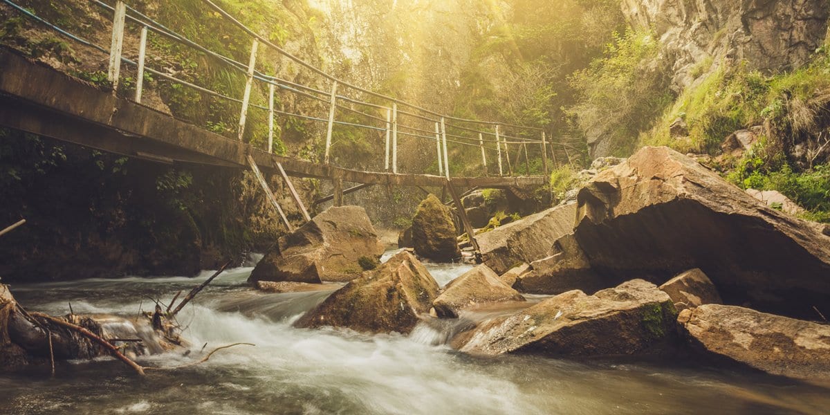 Zen Story: True Nature - Buddha Groove