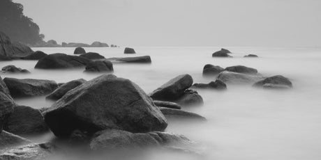 Zen Story: Wishful thinking - Buddha Groove