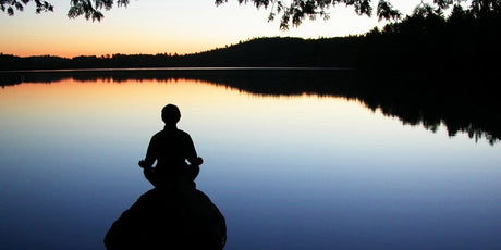 Zen Story: Zen in a Note - Buddha Groove