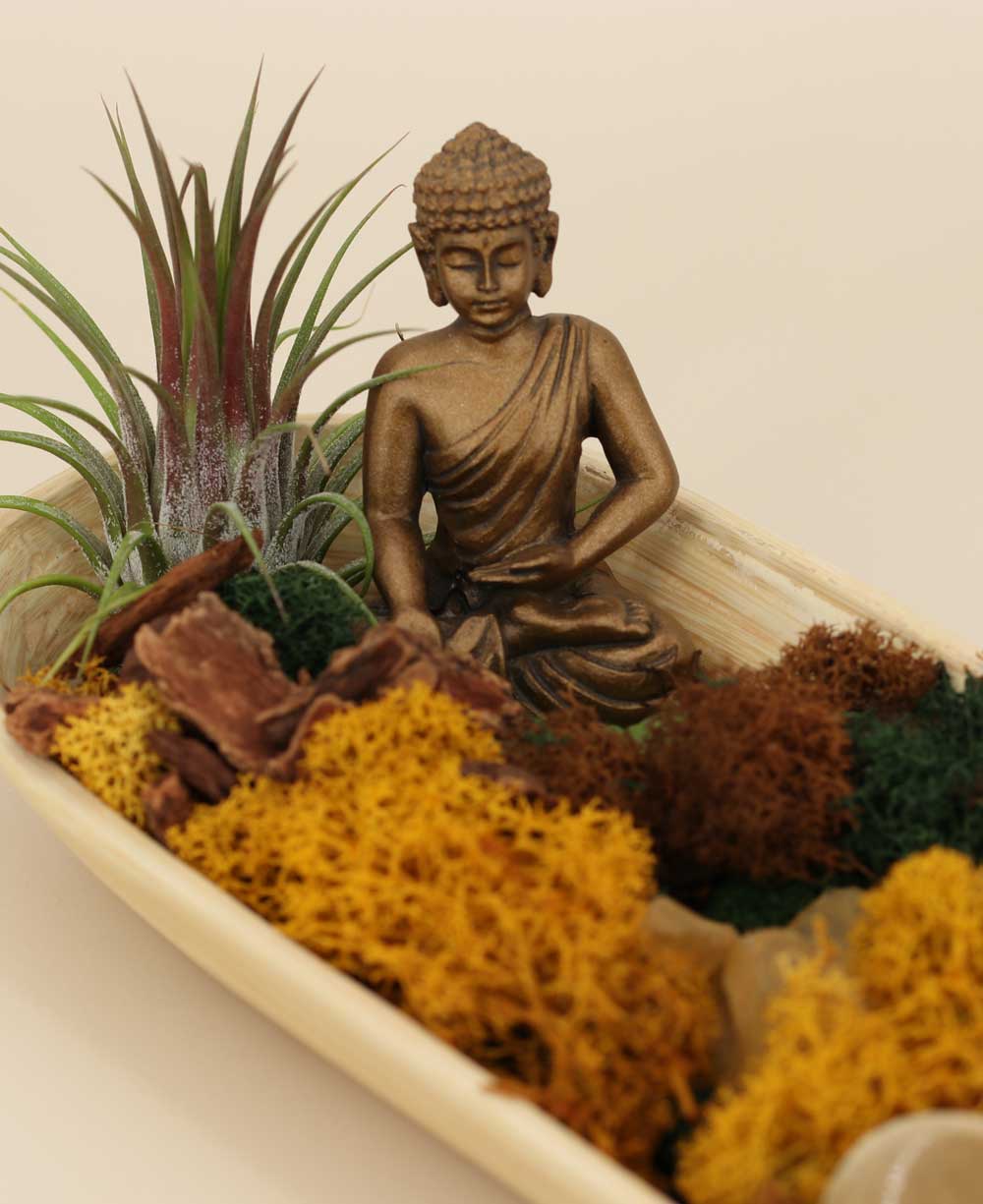 Buddha Gratitude Terrarium – Peaceful Serenity in Nature