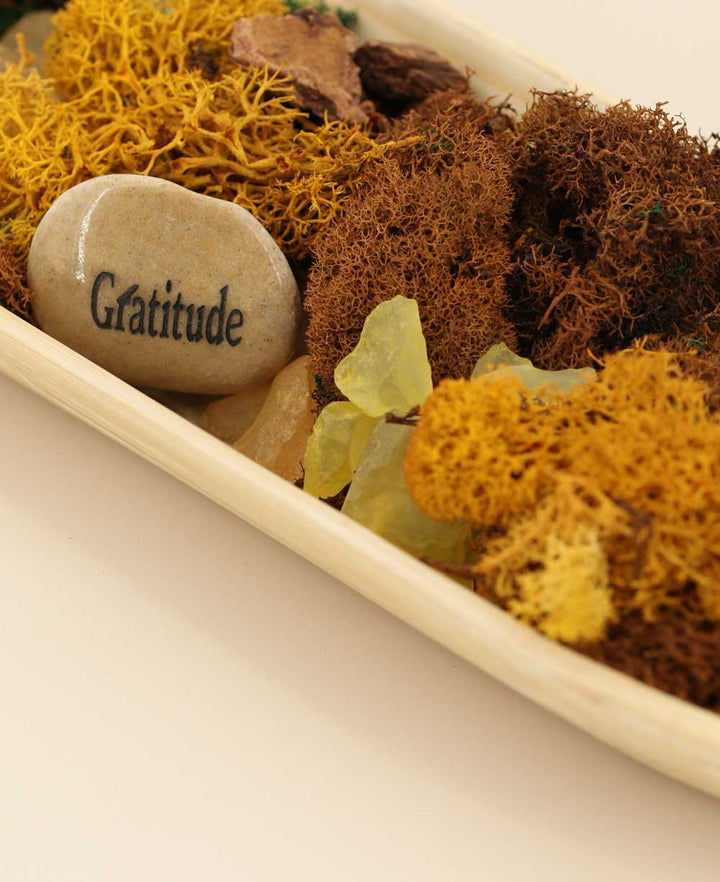 Buddha Gratitude Terrarium – Peaceful Serenity in Nature