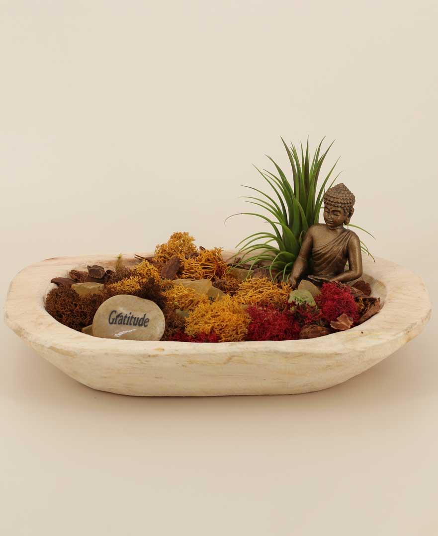 Gratitude Zen Terrarium