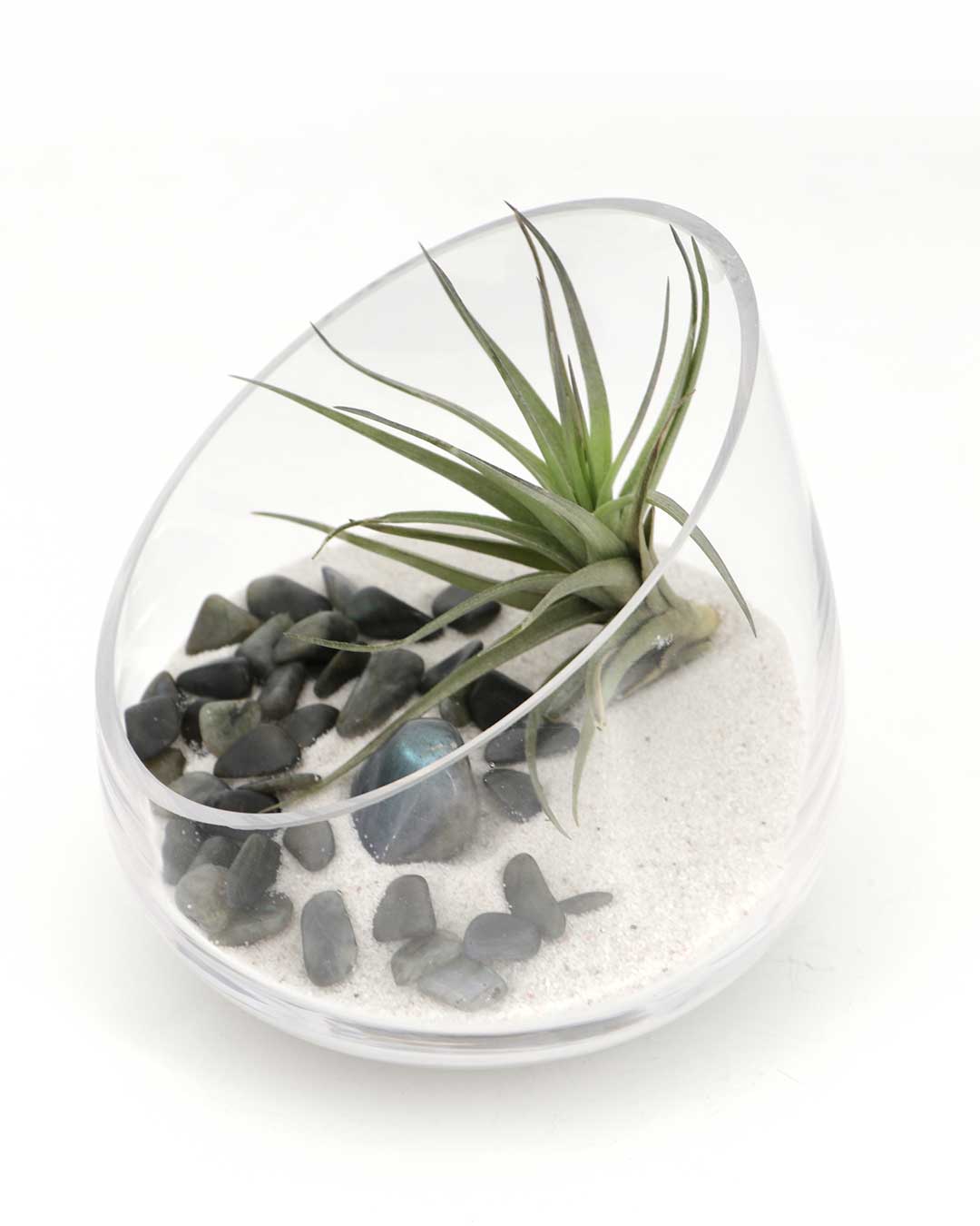 Labradorite Gemstone Terrarium – Air Plant Arrangement with Glass Bowl and Sand