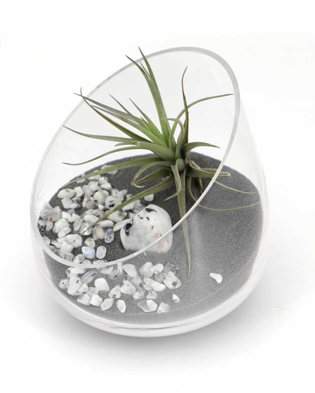 Rainbow Moonstone Gemstone Terrarium – Air Plant Arrangement in Glass Bowl with Black Sand