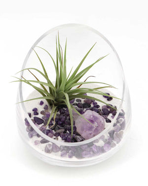 Amethyst Gemstone Healing Crystal Terrarium - Terrarium