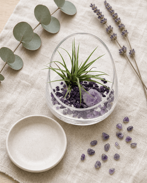 Amethyst Gemstone Healing Crystal Terrarium - Terrarium