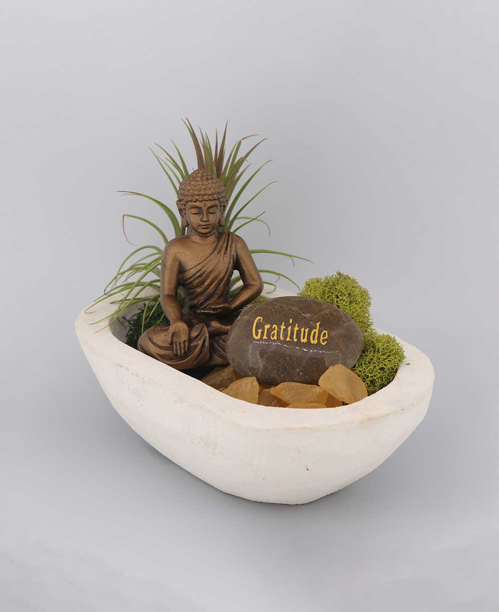 Buddha Gratitude Small Zen Terrarium - Ecospheres White