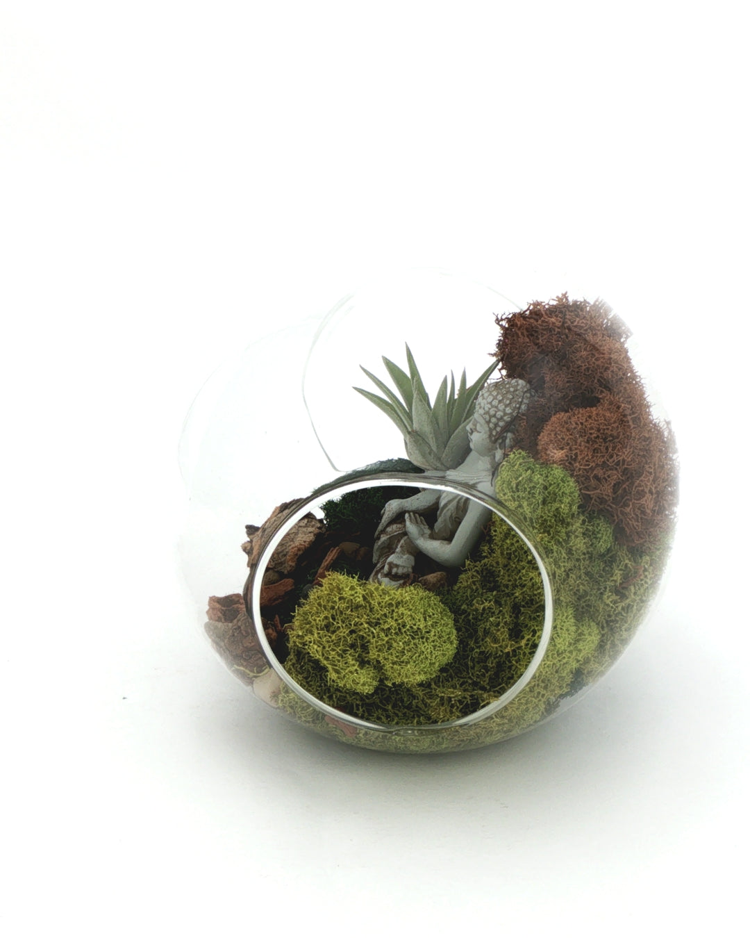 Glass terrarium globe tilted to display open end, with air plant and Buddha figurine visible among green and brown moss