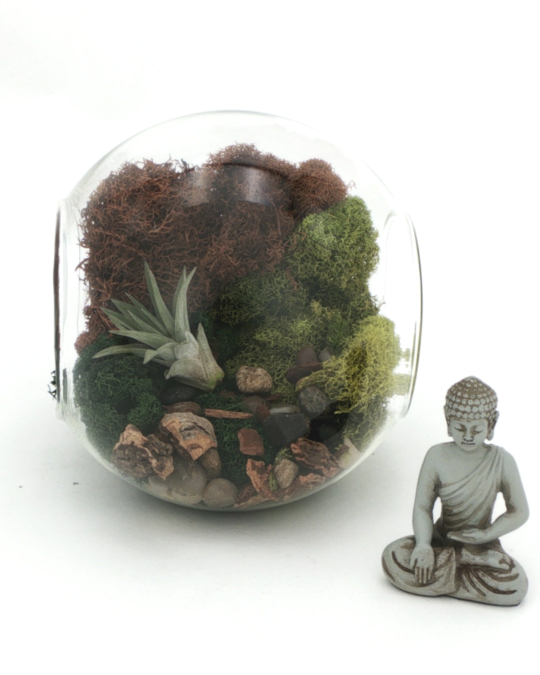 Large glass terrarium globe filled with moss and air plant shown beside meditating Buddha figurine to indicate relative size