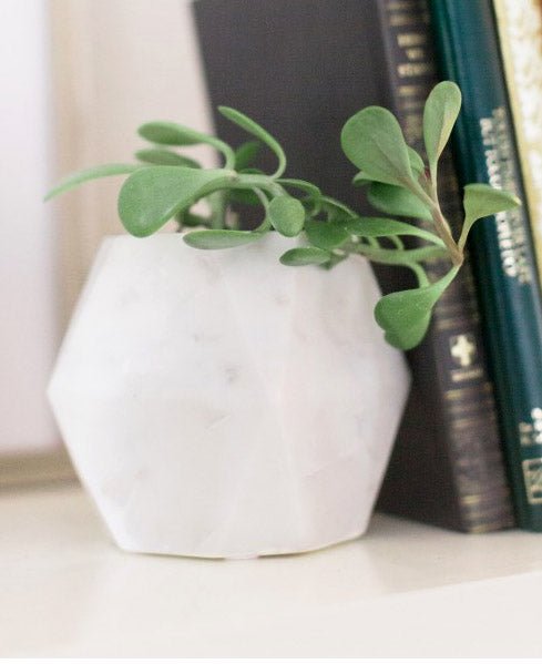 Handmade White Marble Vase / Planter - Decor