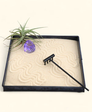 Joy & Abundance Zen Garden – Mini Tray with Purple Buddha and Live Air Plant - Home & Garden