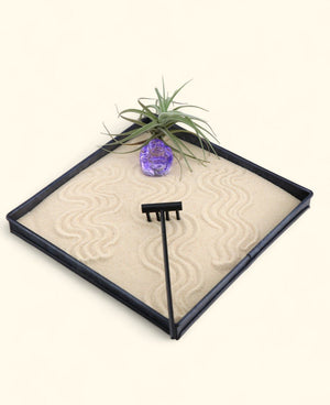 Joy & Abundance Zen Garden – Mini Tray with Purple Buddha and Live Air Plant - Home & Garden