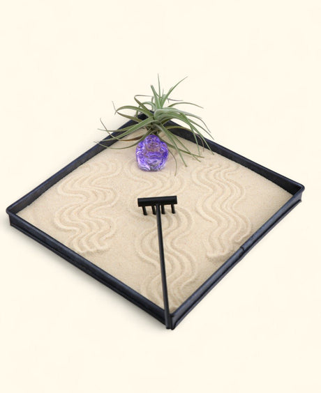 Joy & Abundance Zen Garden – Mini Tray with Purple Buddha and Live Air Plant - Home & Garden