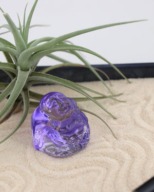 Joy & Abundance Zen Garden – Mini Tray with Purple Buddha and Live Air Plant - Home & Garden