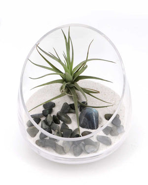 Labradorite Gemstone Terrarium – Air Plant Arrangement with Glass Bowl and Sand - Terrarium