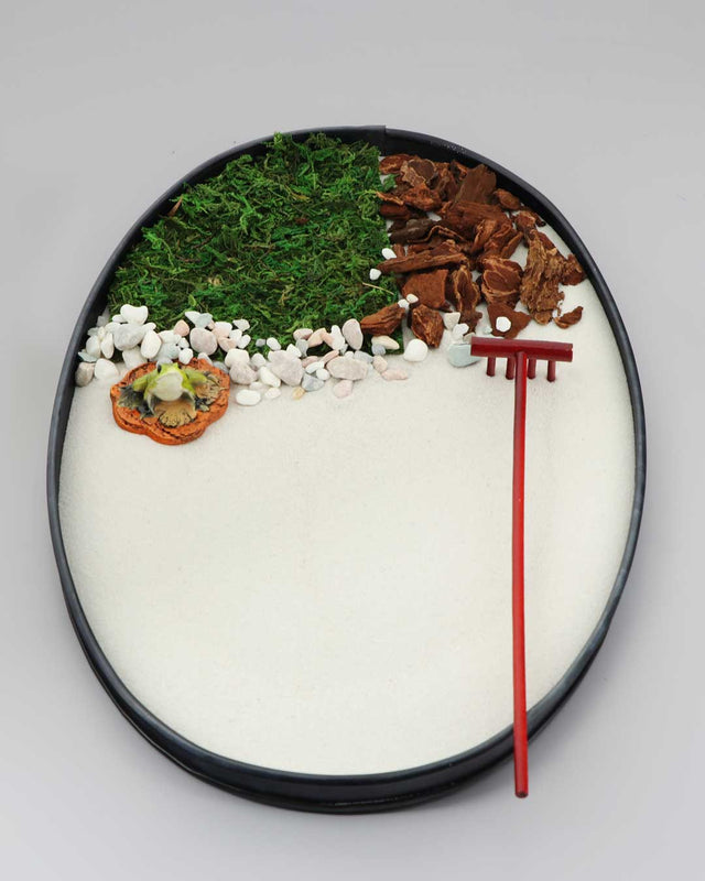 Miniature Frog Meditation Zen Garden with Moss, Bark, and Rake - Home & Garden