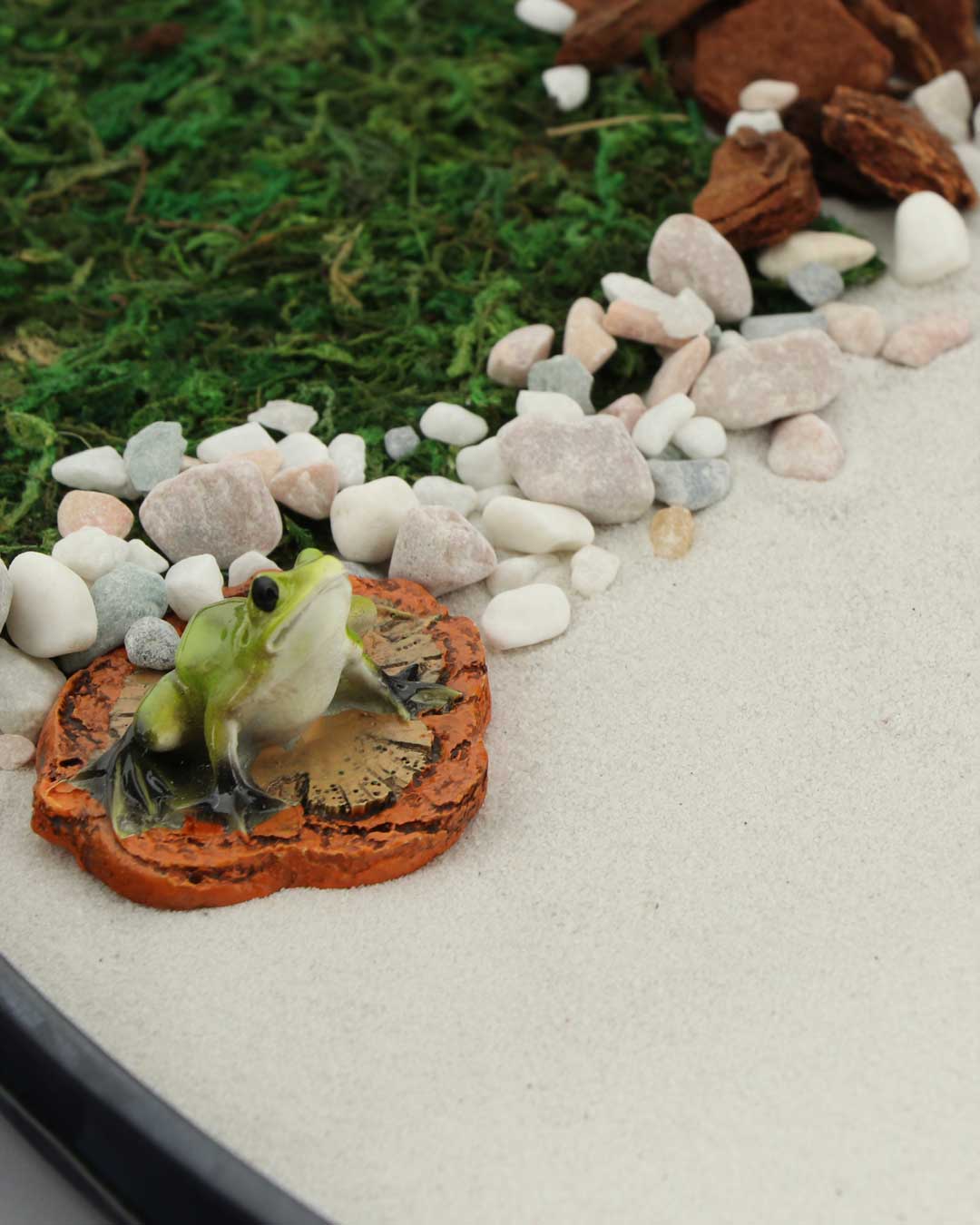 Miniature Frog Meditation Zen Garden with Moss, Bark, and Rake - Home & Garden