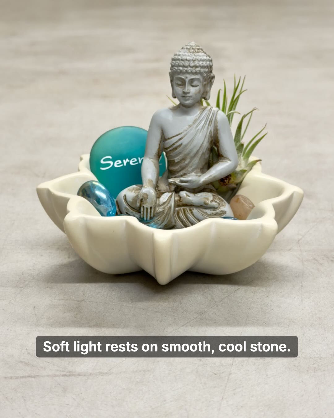 Zen Buddha Terrarium with Lotus Soapstone Bowl & Live Air Plant